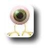 Eyeball with Chicken Legs Mascot